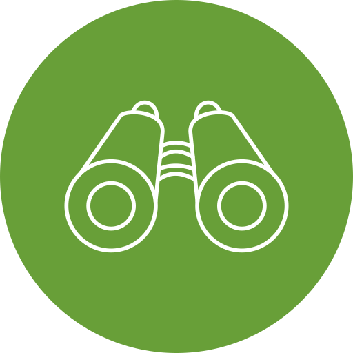 Vision Icon